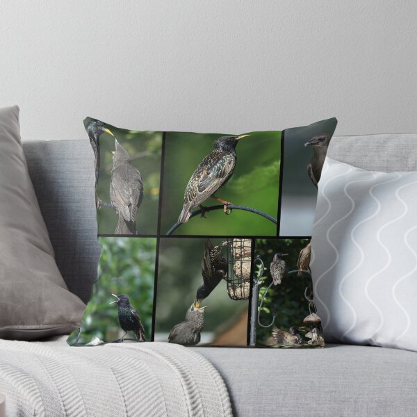 Item preview, A Collage of Starling images designed and sold by days-photographic.