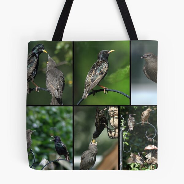 Item preview, A Collage of Starling images designed and sold by days-photographic.