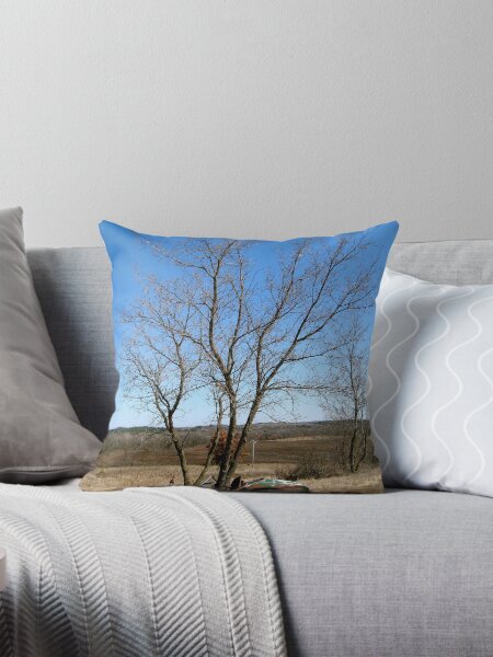 Abandoned Triumph in the Fields Throw Pillow