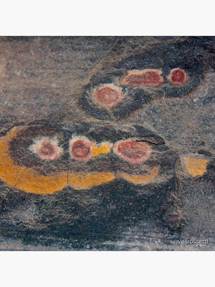 speedy slug trailor by yvesrossetti