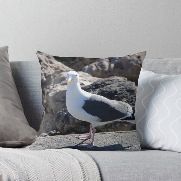 Item preview, Lonely Seagull designed and sold by Photos55.