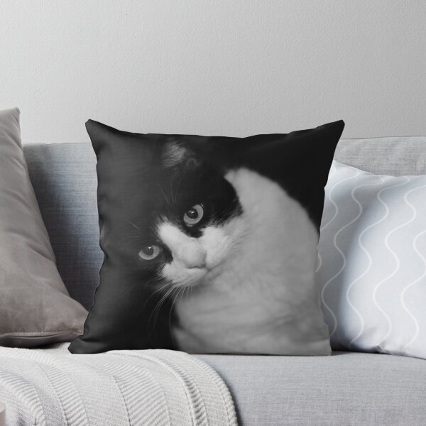 Item preview, I dunno what she told ya... designed and sold by skeeterman.