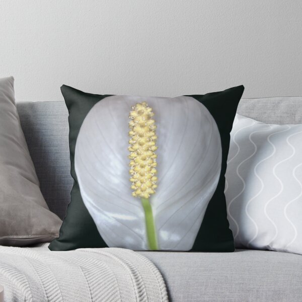 Item preview, Peace Lily designed and sold by days-photographic.