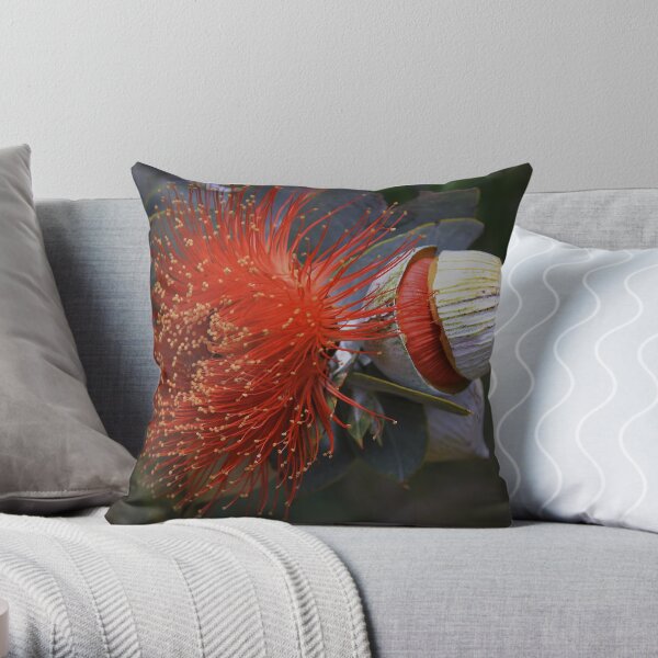Eucalyptus macrocarpa Throw Pillow