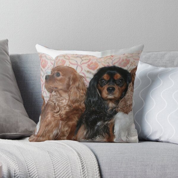 Four Cavalier King Charles Spaniels Throw Pillow