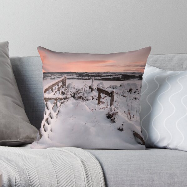 Gate Throw Pillow