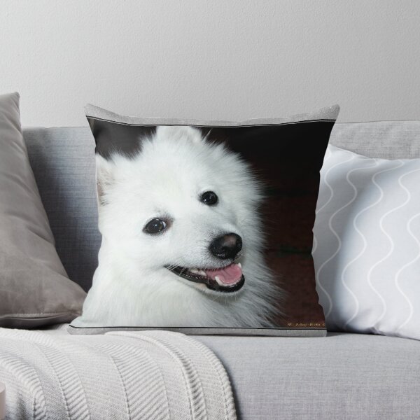 Spitz Dog Pillows & Cushions for Sale | Redbubble