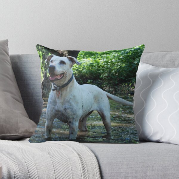 Pet Play Pillows Cushions Redbubble - planeta doge beta roblox