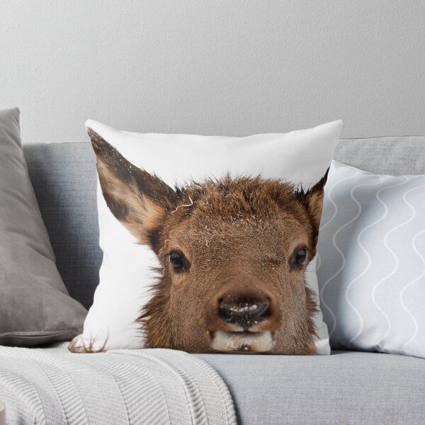 Item preview, Who Are You Looking At ? designed and sold by Jacinthe Brault.