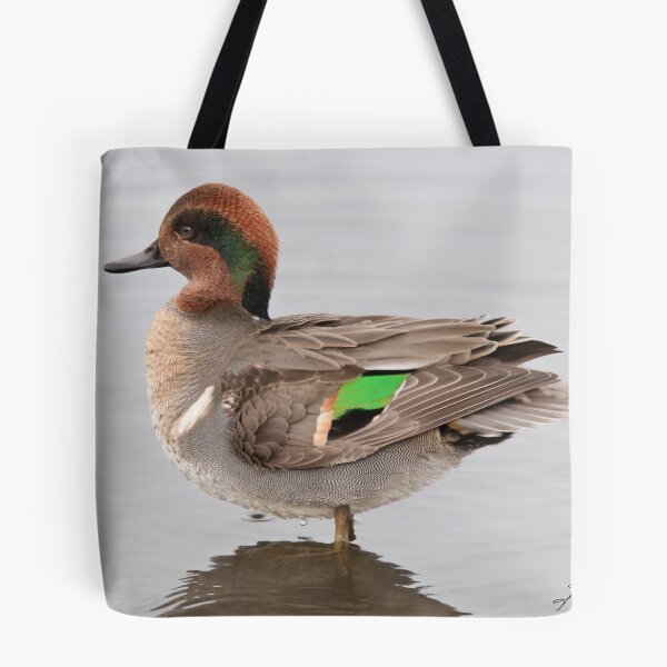 Item preview, The Male Green-winged Teal designed and sold by DigitallyStill.