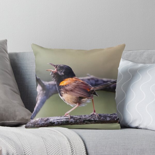 Item preview, Juvenile Male Red Backed Fairy Wren, Malurus melanocephalus designed and sold by Normf.