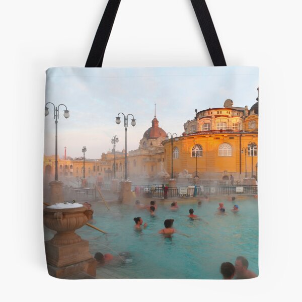Item preview, Széchenyi medicinal baths III designed and sold by zumi.