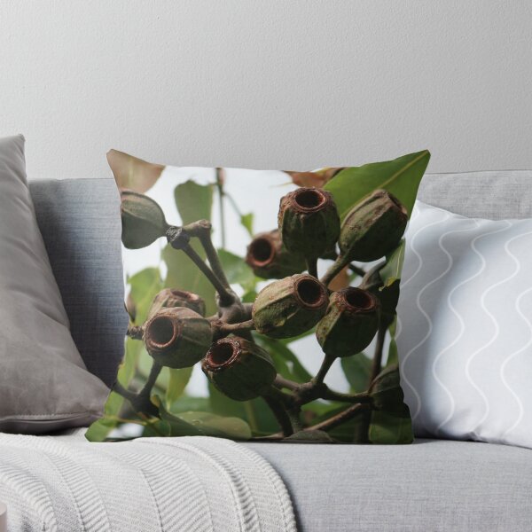 Item preview, Gum Nuts After Flowering in Early Summer designed and sold by Robyn J. Blackford.