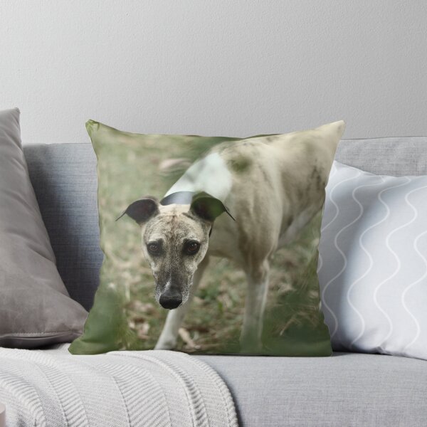 Item preview, My boy Puck designed and sold by whippeteer.
