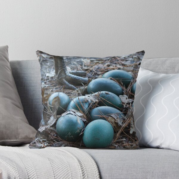 Item preview, Emu Guarding Her Newly Layed Eggs designed and sold by Paulette1021.