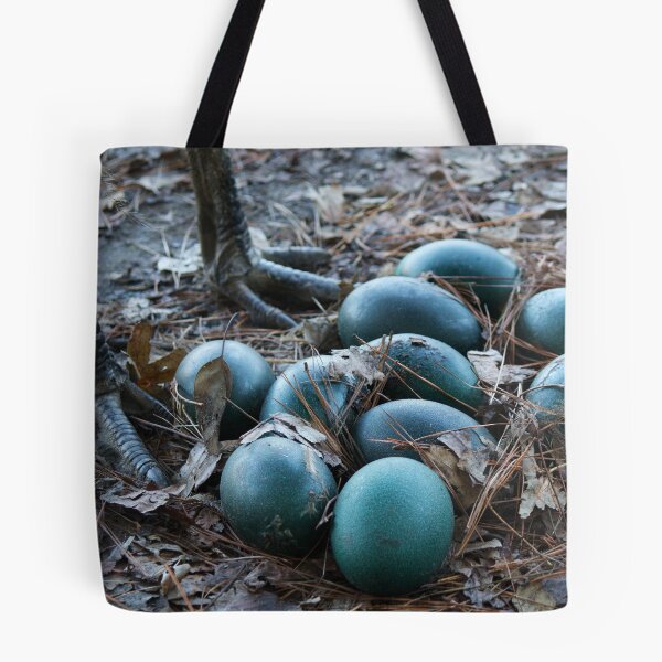Item preview, Emu Guarding Her Newly Layed Eggs designed and sold by Paulette1021.