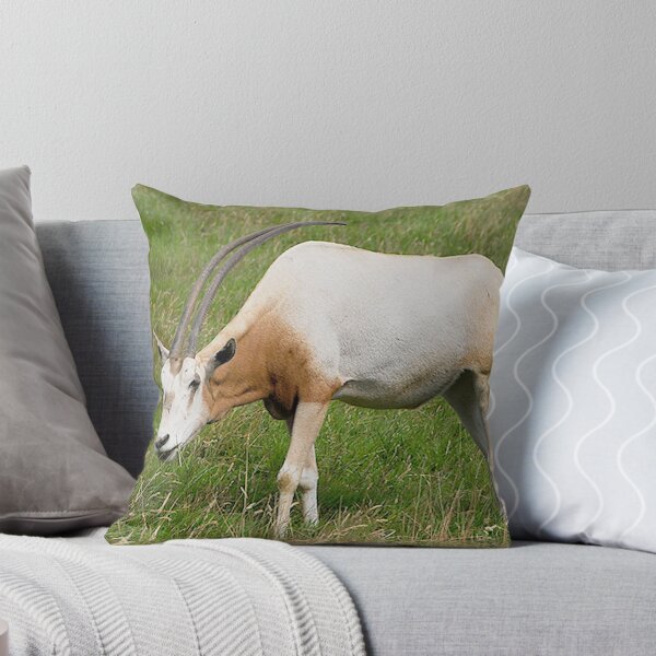 Item preview, Onyx designed and sold by MacsfieldImages.