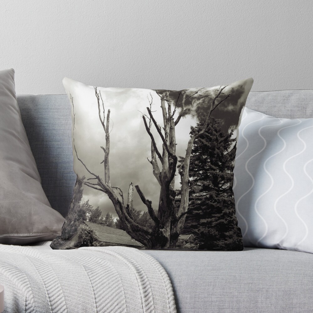 My Time Has Ended Throw Pillow
