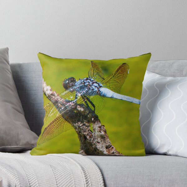 Item preview, Dont push me over. designed and sold by Andrew Prince.