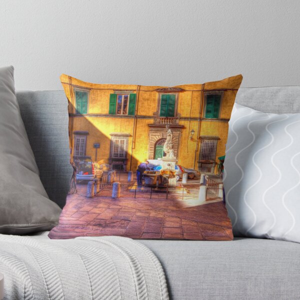 https://ih1.redbubble.net/image.798290063.4208/throwpillow,small,600x-bg,f8f8f8-c,0,120,600,600.jpg