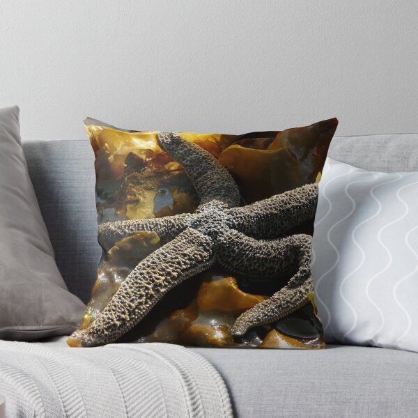 Item preview, sea star designed and sold by Lacey Bediz.