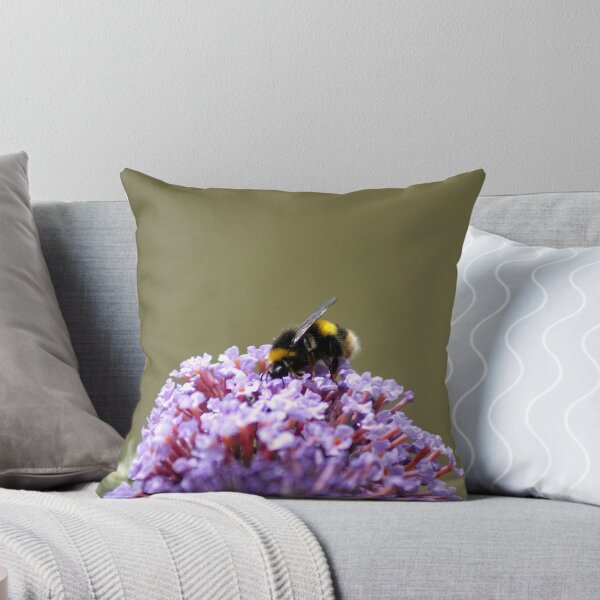 Item preview, snack time... - Cataract Gorge, Tasmania designed and sold by Nathan Lam.