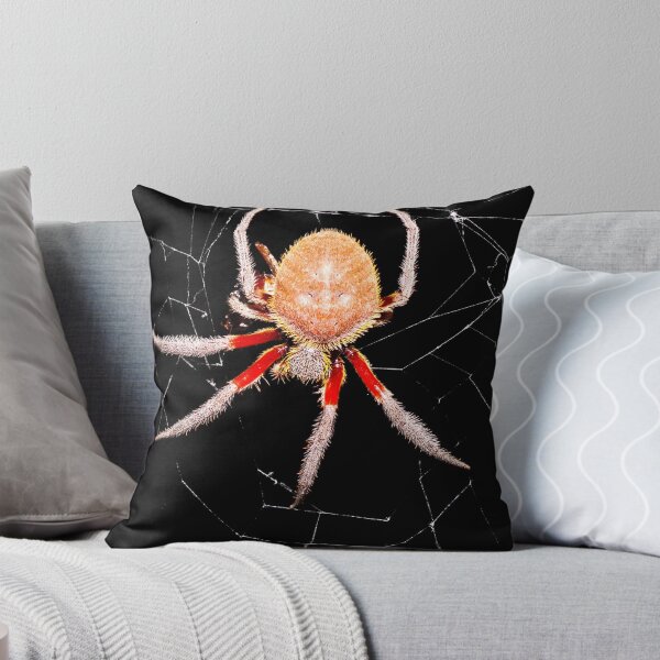 Item preview, Spider designed and sold by Derek Byrne.