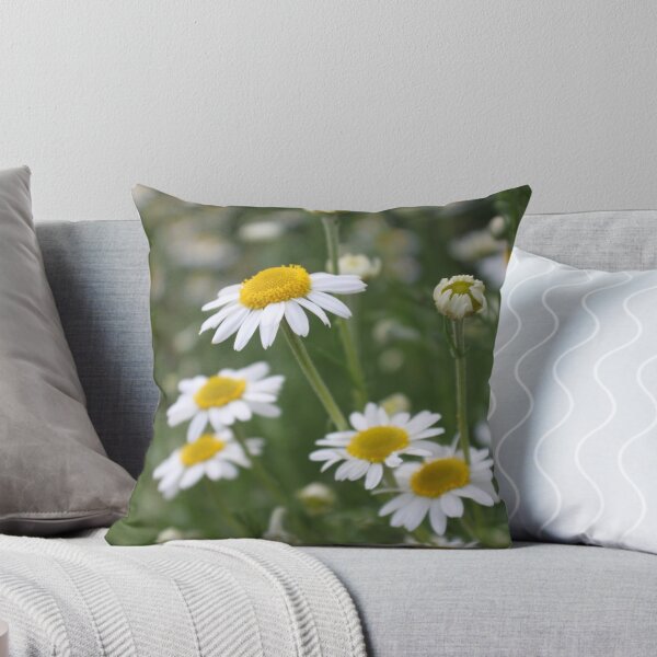 Item preview, Camomile designed and sold by Jane Dickson.
