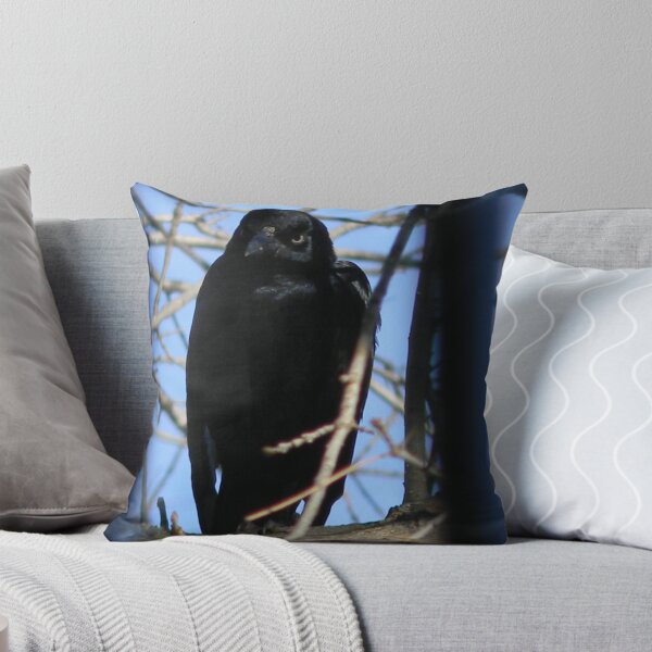Item preview, Grackle Waits designed and sold by Navigator.