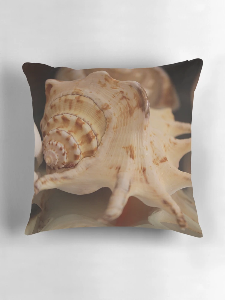 Thumbnail 3 of 4, Pillow, Shells Shells Shells designed and sold by Amy Dee.
