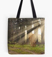 Morning Sunlight Tote Bag