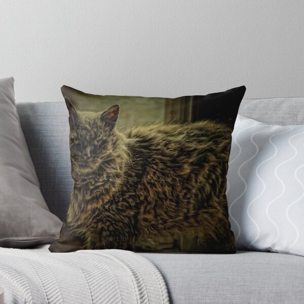 Item preview, Bogel the  Cat designed and sold by Karen  Betts.