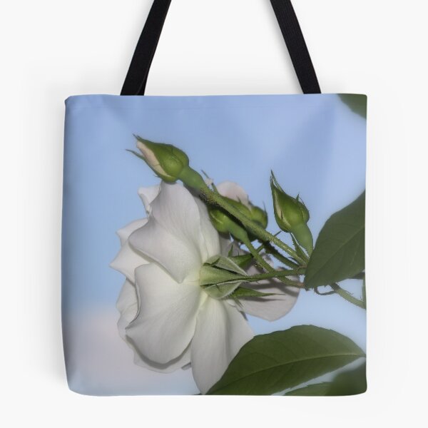 Item preview, softly rose designed and sold by fazza.
