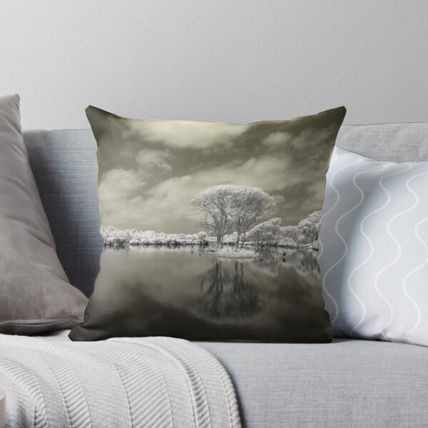 Reflecting on the Glory of Creation Throw Pillow