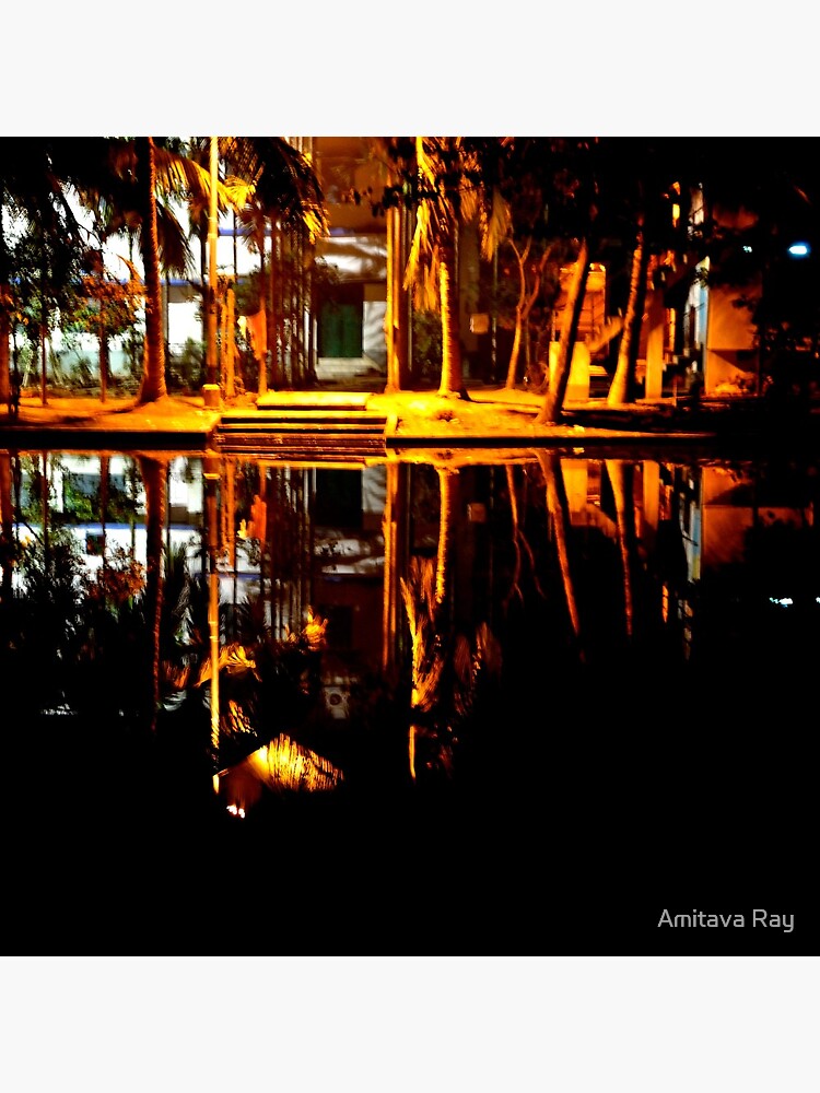 Reflection by amitavaray