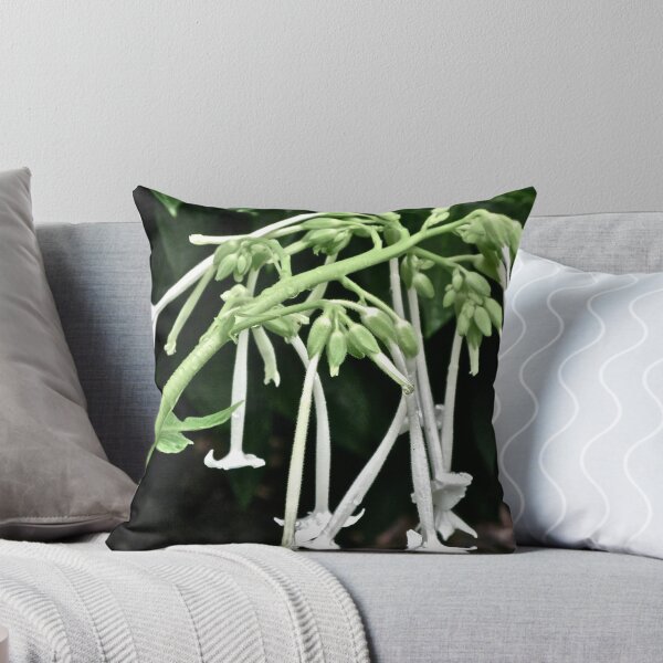 NICOTIANA - SHADY LADY 4 Throw Pillow