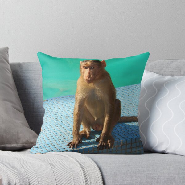 Item preview, Monkey at pool  designed and sold by Sunil Bhardwaj.
