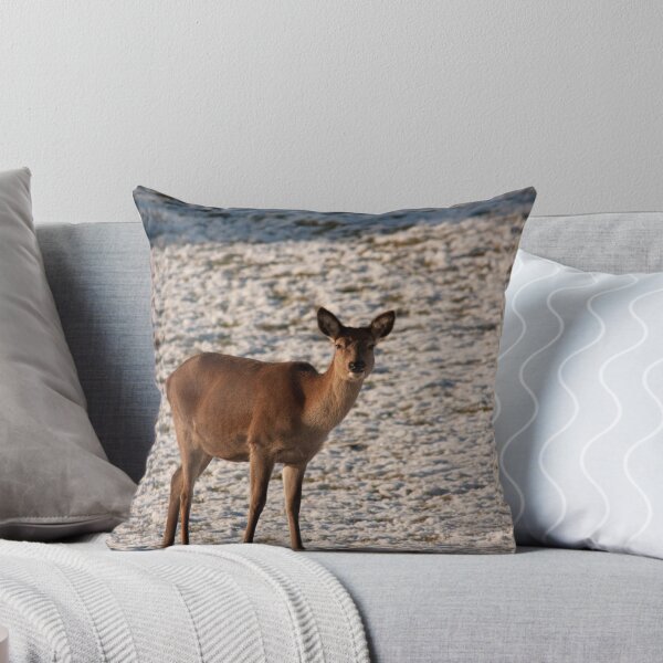 Item preview, Red Deer hind designed and sold by Jon Lees.