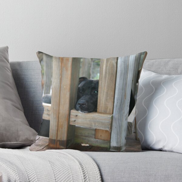 Item preview, Please Let Me In designed and sold by shazart.