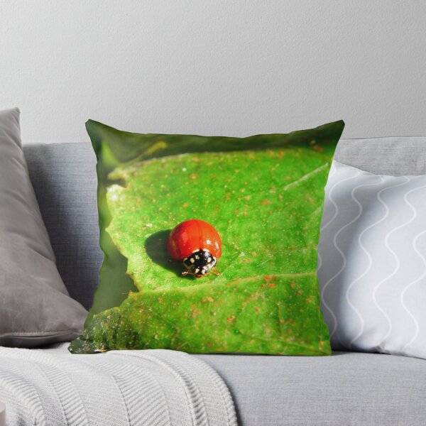 Artikelvorschau, Ladybug entworfen und verkauft von Pandrot.