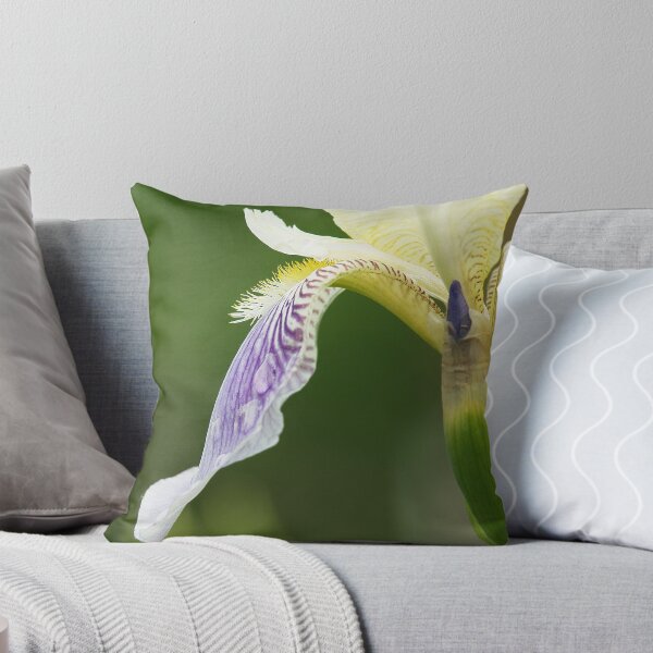 Item preview, Iris I designed and sold by Igor Mazulev.
