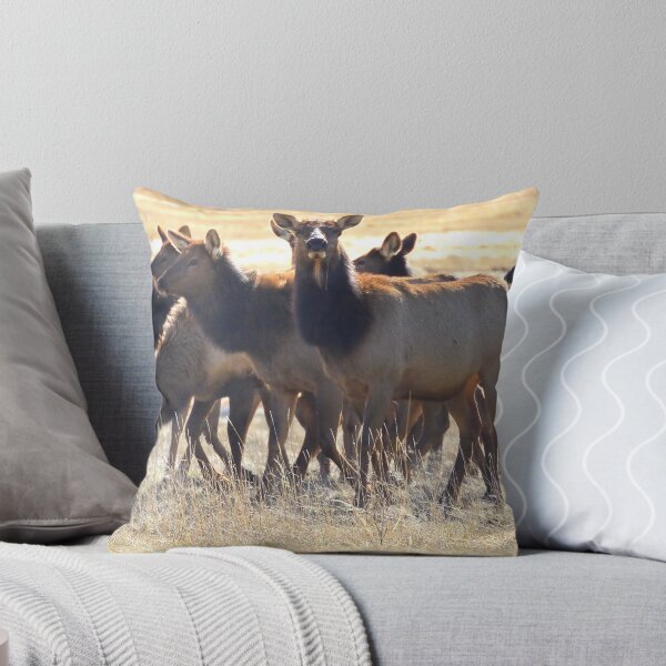 Aperçu de l'œuvre Montana elk herd in January créée et vendue par amontanaview.