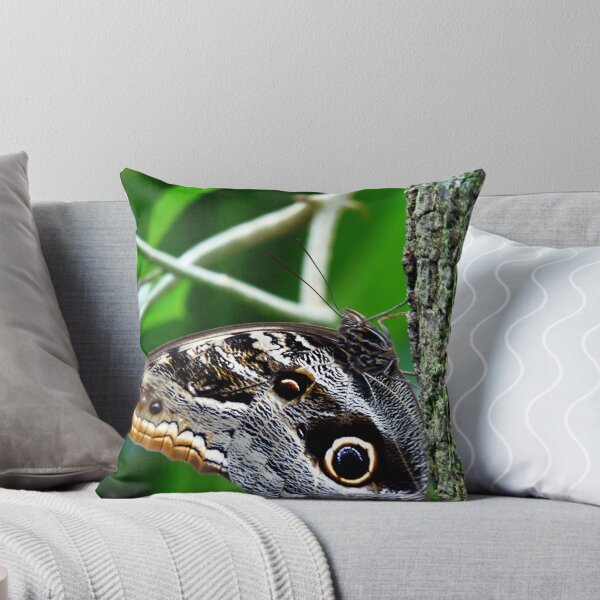 Item preview, Giant Owl Butterfly  designed and sold by Marcia Rubin.