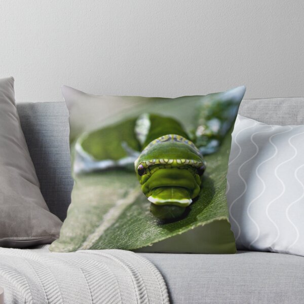 Item preview, Colour me Green designed and sold by PhotosByHealy.