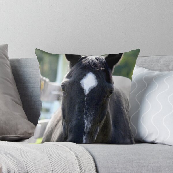 Item preview, Black Beauty ~ A Star is Born designed and sold by Michele Simon.