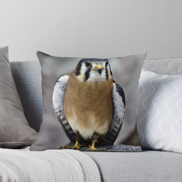 Item preview, Kestrel designed and sold by mimsjodi.