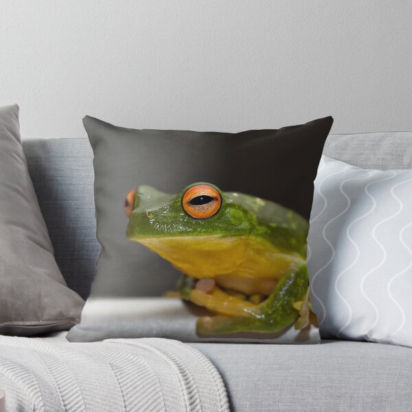 Item preview, Green Tree Frog - Litoria Caerula - Sitting on a rail designed and sold by clearviewstock.