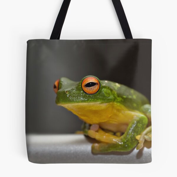 Item preview, Green Tree Frog - Litoria Caerula - Sitting on a rail designed and sold by clearviewstock.