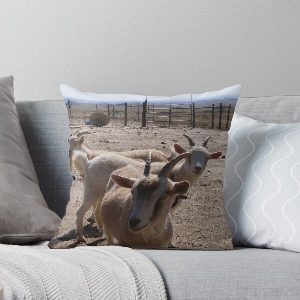 Item preview, Curiosity designed and sold by Marie Smith.