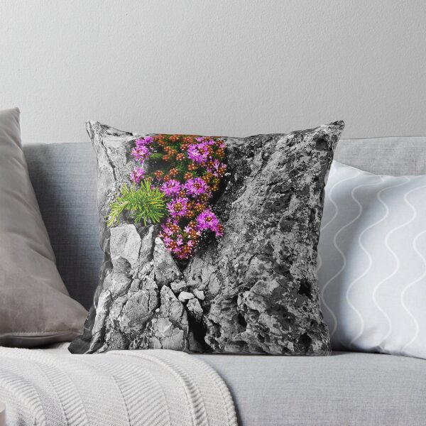 Item preview, Contrast designed and sold by Kelvin Hughes.